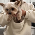Pouch held open as a small dog climbs in